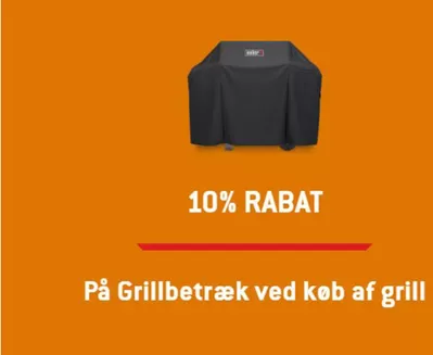 Tilbud fra Elektronik og hvidevarer i Aabenraa | 10% Rabat hos Weber | 18.10.2024 - 31.10.2024