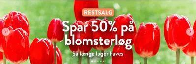 Plantorama katalog | Spar 50% | 19.11.2024 - 2.12.2024