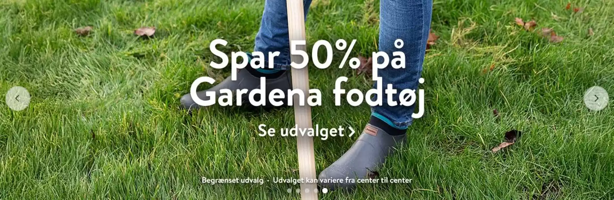 Plantorama katalog | Spar 50% ! | 19.11.2024 - 2.12.2024