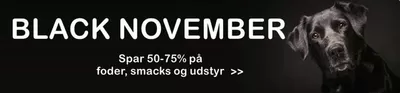 Tilbud fra Dagligvarer i Hundige | Black November hos Petworld | 21.11.2024 - 30.11.2024