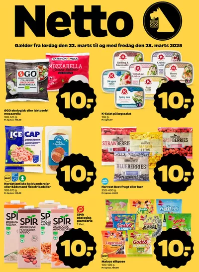 Netto katalog | Netto uge 13 | 21.3.2025 - 28.3.2025