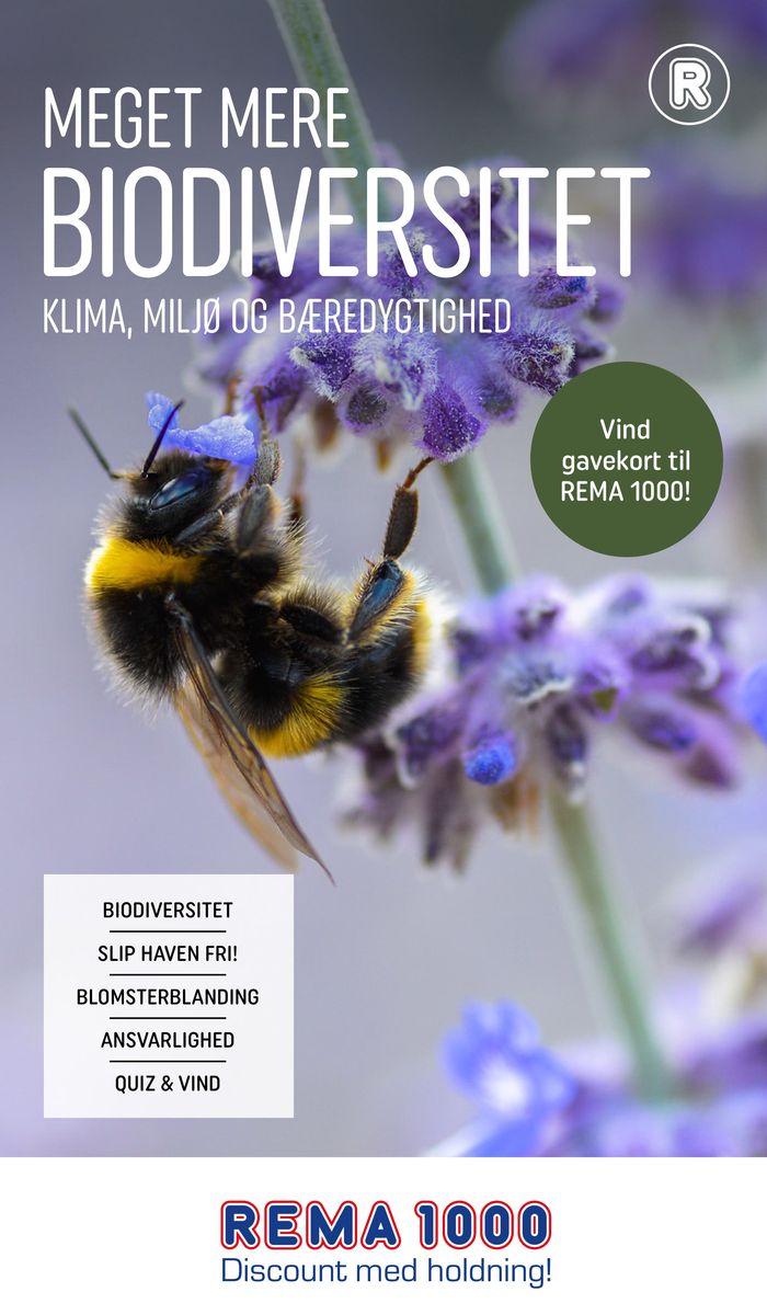 Rema 1000 katalog i Odense | Rema 1000 Tilbudsavis | 22.4.2024 - 6.5.2024