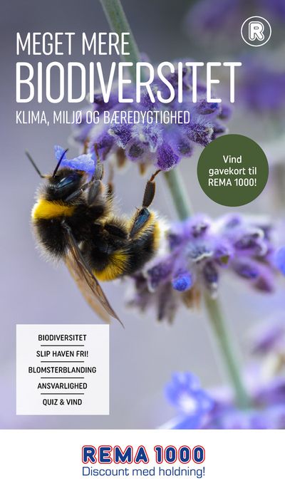 Rema 1000 katalog i Næstved | Rema 1000 Tilbudsavis | 22.4.2024 - 6.5.2024