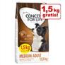 12 + 1,5 kg gratis! 13,5 kg Concept for Life Hundefoder på tilbud til 379,9 kr. hos Zooplus DK