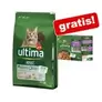 10 kg Ultima tørfoder + 8 x 85 g passende vådfoder gratis!NYHED på tilbud til 467,9 kr. hos Zooplus DK