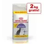 10 + 2 kg gratis! 12 kg Royal Canin kattetørfoder på tilbud til 597,9 kr. hos Zooplus DK