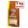 11 kg + 3 kg / 10 kg +2 kg / 5,5 kg + 1,5 kg / 15 kg + 3 kg gratis! Ultima tørfoder på tilbud til 494,9 kr. hos Zooplus DK