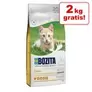 2 kg gratis! 10 kg Bozita kattefoderNYHED på tilbud til 423,9 kr. hos Zooplus DK