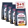 3 + 1 gratis! Rocco Mealtime 1kgNYHED på tilbud til 148,9 kr. hos Zooplus DK