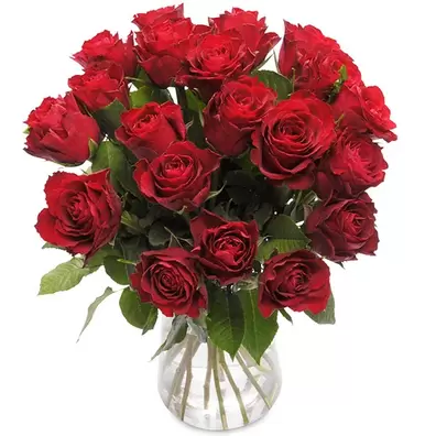 20 røde roser på tilbud til 339,95 kr. hos Euroflorist