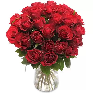 30 røde roser på tilbud til 439,95 kr. hos Euroflorist