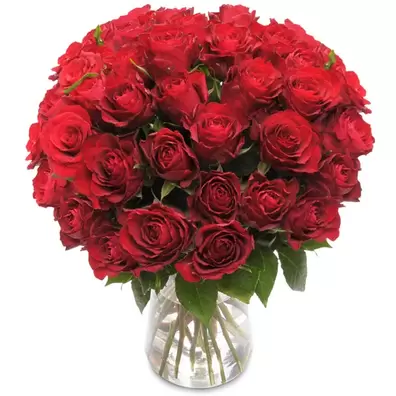 40 røde roser på tilbud til 539,95 kr. hos Euroflorist